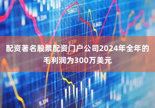 配资著名股票配资门户公司2024年全年的毛利润为300万美元