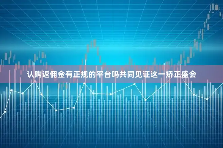 认购返佣金有正规的平台吗共同见证这一矫正盛会
