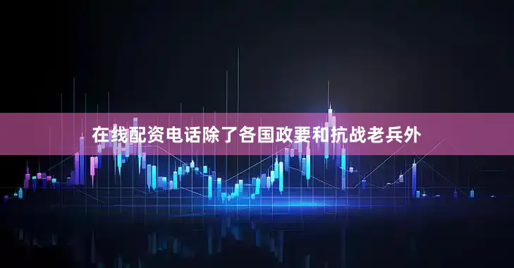 在线配资电话除了各国政要和抗战老兵外